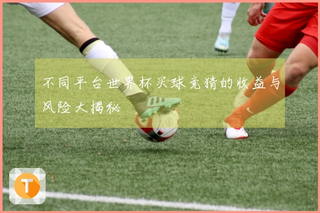 不同平台世界杯买球竞猜的收益与风险大揭秘