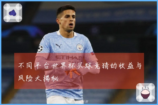 不同平台世界杯买球竞猜的收益与风险大揭秘