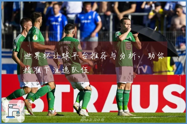 世界杯让球平台推荐与分析，助你精准下注选队伍