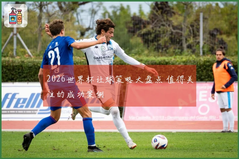 2026世界杯让球策略大盘点 值得关注的成功案例